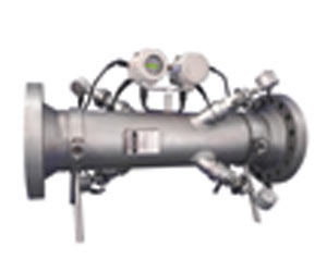 Sentinel - Custody Transfer Gas Ultrasonic Flowmeter