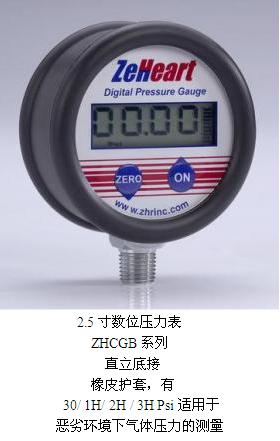 2.5寸数字(气体)压力表